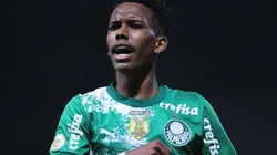 Estêvão tem roubado a cena no Palestra