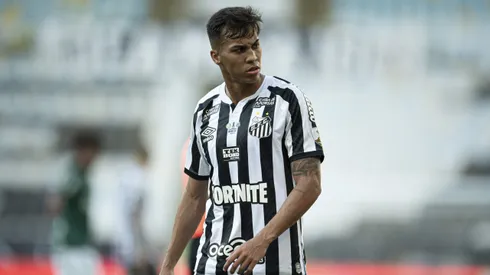 Atacante foi revelado pelas categorias de base do Peixe