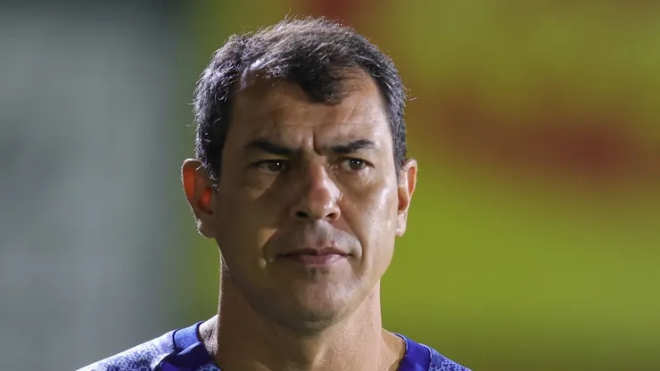 SP - NOVO HORIZONTE - 07/06/2024 - BRASILEIRO B 2024, NOVORIZONTINO X SANTOS - Fabio Carille tecnico do Santos antes da partida contra o Novorizontino no estadio Jorge Ismael de Biasi pelo campeonato Brasileiro B 2024.