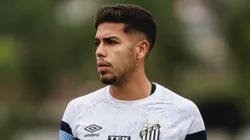 Meio-campista não está sendo utilizado no Santos