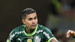 Dudu comemora gol pelo Verdão. Atacante ainda pode deixar o clube paulista.