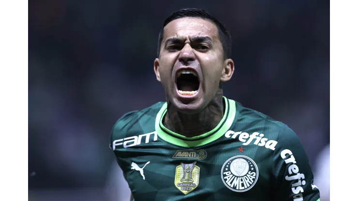 Dudu tomou decisão no Palmeiras