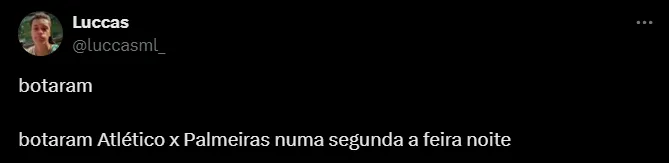 Torcedor do Palmeiras. Foto: Reprodução/ Twitter