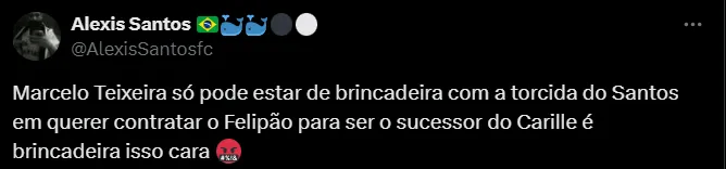 Torcedor do Santos. Foto: Reprodução/ Twitter