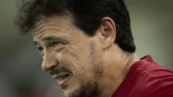 Fernando Diniz em partida do Brasileirão 2024