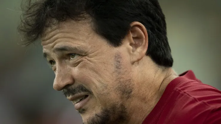 Fernando Diniz em partida do Brasileirão 2024