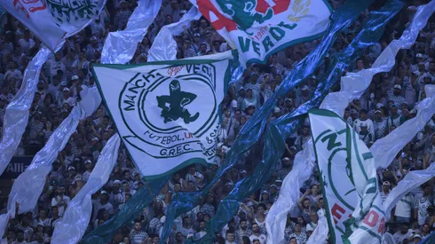 Torcida Mancha Verde, no Allianz Parque, no Campeonato Brasileiro 2023. Foto: Ettore Chiereguini/AGIF