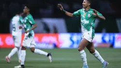 Rony jogador do Palmeiras comemora seu gol durante partida contra o Vasco. Foto: Ettore Chiereguini/AGIF