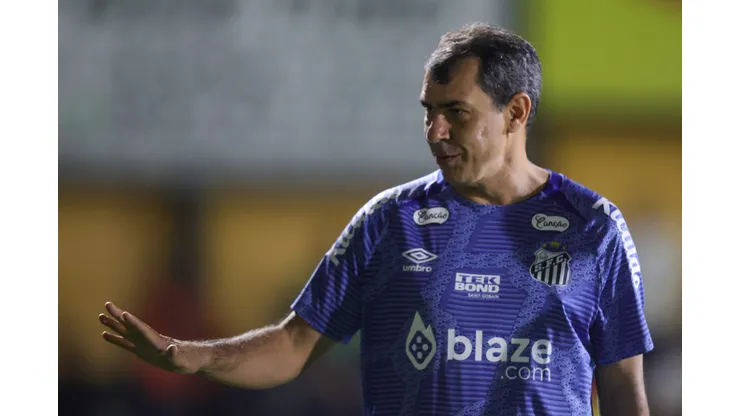 SP - NOVO HORIZONTE - 07/06/2024 - BRASILEIRO B 2024, NOVORIZONTINO X SANTOS - Fabio Carille tecnico do Santos antes da partida contra o Novorizontino no estadio Jorge Ismael de Biasi pelo campeonato Brasileiro B 2024. Foto: Pedro Zacchi/AGIF