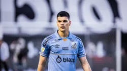 Gabriel Brazão tem sido titular no Santos