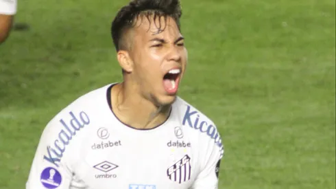 Kaio Jorge, novo reforço do Cruzeiro. Foto: Ivan Storti/Santos FC