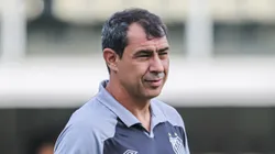 Carille ainda não conquistou nenhum troféu no Peixe. Foto: Reinaldo Campos/AGIF