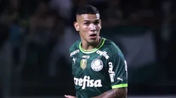 Palmeiras apresentou um novo cenário para a carreira de Naves