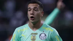 Naves teve novo cenário exposto no Palestra