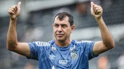 Fábio Carille em partida da Série B