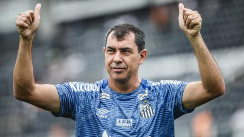 Fábio Carille em partida da Série B