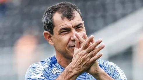 SP - SANTOS - 19/05/2024 - BRASILEIRO B 2024, SANTOS X BRUSQUE - Fabio Carille tecnico do Santos antes da partida contra o Brusque no estadio Vila Belmiro pelo campeonato Brasileiro B 2024.