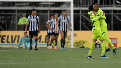 Palmeiras espera repetir cenas do último duelo diante do Botafogo. Foto: Thiago Ribeiro/AGIF)
