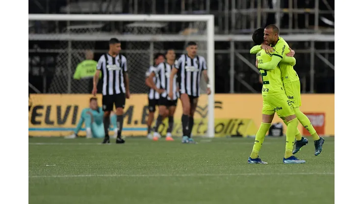 Palmeiras espera repetir cenas do último duelo diante do Botafogo. Foto: Thiago Ribeiro/AGIF)