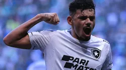 Tiquinho Soares decidiu a favor do Botafogo na última vitória sobre o Palmeiras.