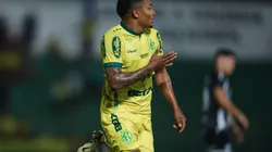 Mirassol encara o Guarani na 8ª rodada da Série B.