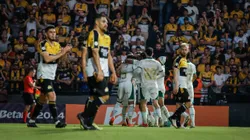 Jogadores do Palmeiras comemoram gol durante partida contra o Criciuma. Foto: Leonardo Hubbe/AGIF