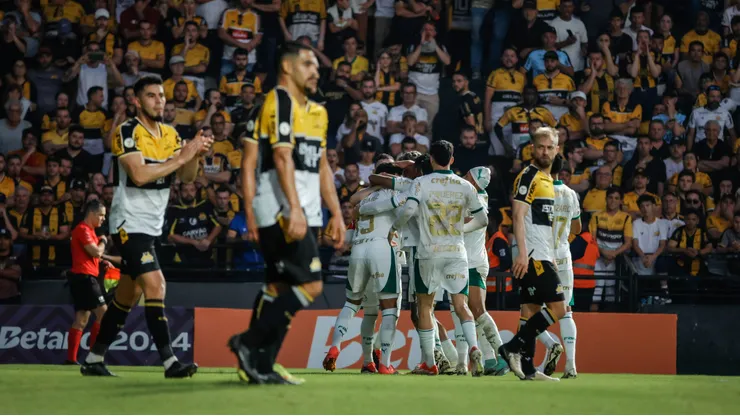 Jogadores do Palmeiras comemoram gol durante partida contra o Criciuma. Foto: Leonardo Hubbe/AGIF