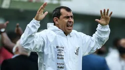 Fábio Carille comanda o Santos na Série B
