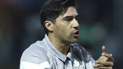 Abel Ferreira vai decidir sobre negócio no Palmeiras