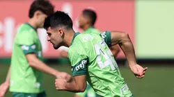 Palmeiras e seu elenco treinando na última segunda-feira (29). Foto: Cesar Greco/ Palmeiras/ Flickr