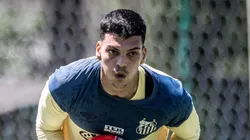 Gabriel Brazão, goleiro do Santos - Foto: Raul Baretta/ Santos FC