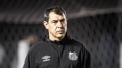 Fábio Carille durante partida do Santos na Série B. Foto: Raul Baretta/ Santos FC