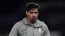 Abel Ferreira, técnico do Palmeiras, durante partida contra o Botafogo no estadio Engenhao pelo campeonato Brasileiro A 2024. Foto: Thiago Ribeiro/AGIF
