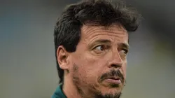 Thiago Ribeiro/AGIF - Fernando Diniz, técnico do Fluminense