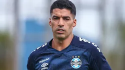 Luis Suárez em ação pelo Grêmio - Foto: Lucas Uebel/Grêmio