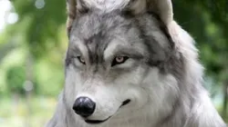 Detalhes realistas da roupa chamaram a atenção