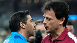 Foto: Jorge Rodrigues/AGIF - Abel Ferreira e Fernando Diniz