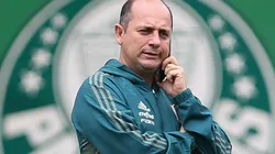 Foto: Flickr Oficial Sociedade Esportiva Palmeiras