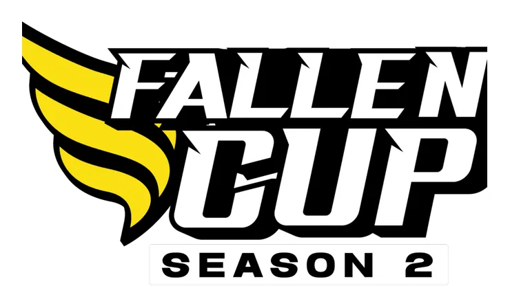 Foto: Reprodução/FalleN Gaming Company
