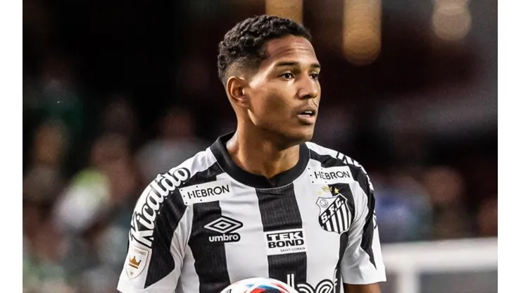 Foto: Raul Baretta/ Santos FC - João Lucas foi expulso na derrota do Peixe.