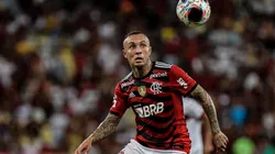 Foto: Thiago Ribeiro/AGIF - Everton Cebolinha: atacante foi apontado como alvo do Botafogo