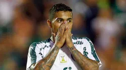 Agif/Thiago Calil - Dudu tem caso recuperado no Verdão