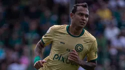 Isabela Azine/AGIF - Vinícius, atacante do Goiás