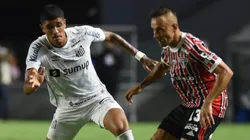 Foto: Ivan Storti/Santos FC