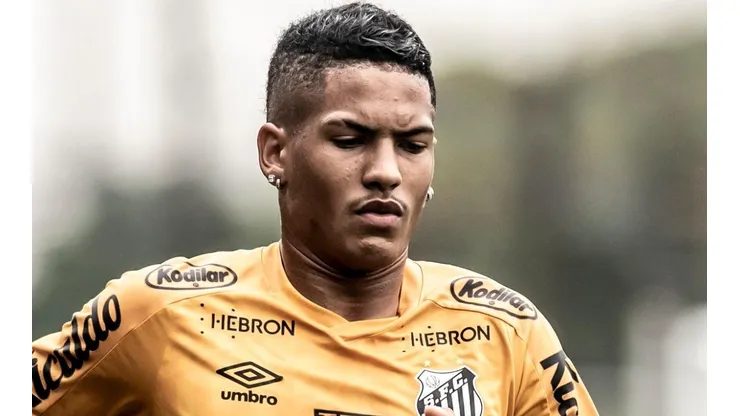 Foto: Ivan Storti/Santos FC