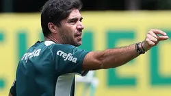 (Foto: Cesar Greco/Palmeiras/by Canon)