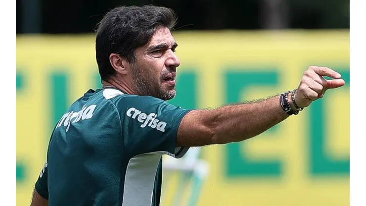 (Foto: Cesar Greco/Palmeiras/by Canon)
