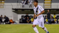 Foto: Álvaro Júnior/Ponte Preta