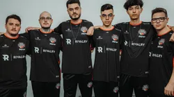 Foto: Divulgação/RED Canids