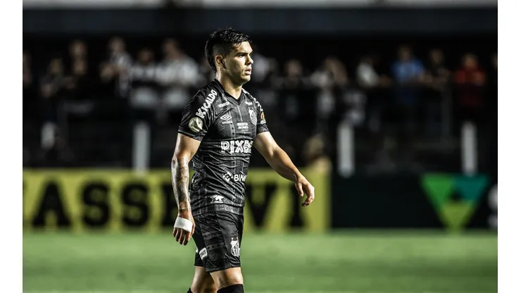 Foto: Raul Baretta/AGIF - Fernández foi peça-chave no time do ano passado.